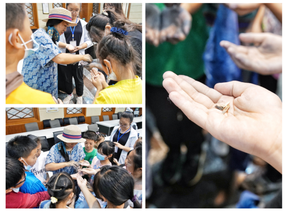 云南省文化和旅游厅