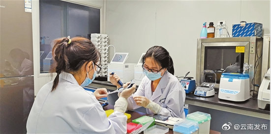 云南全基因组测序平台前移至抗疫一线