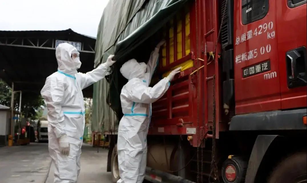 云南政法(微信)