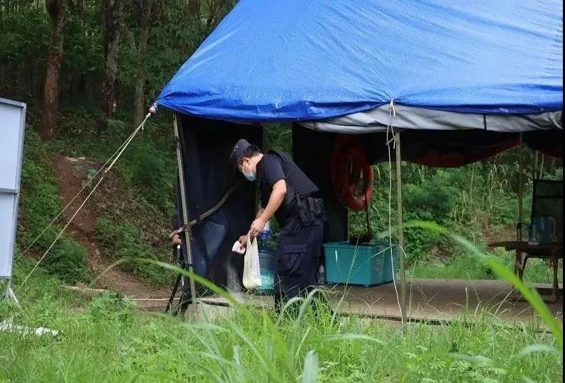 云南政法(微信)