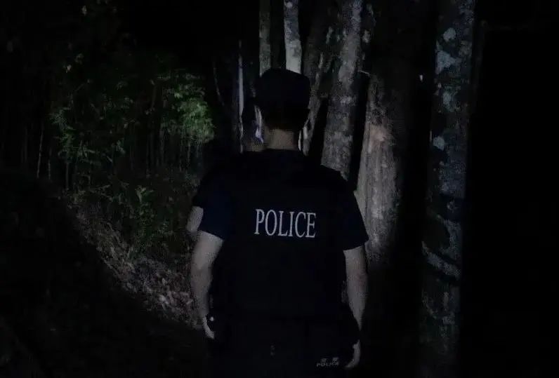 云南政法(微信)