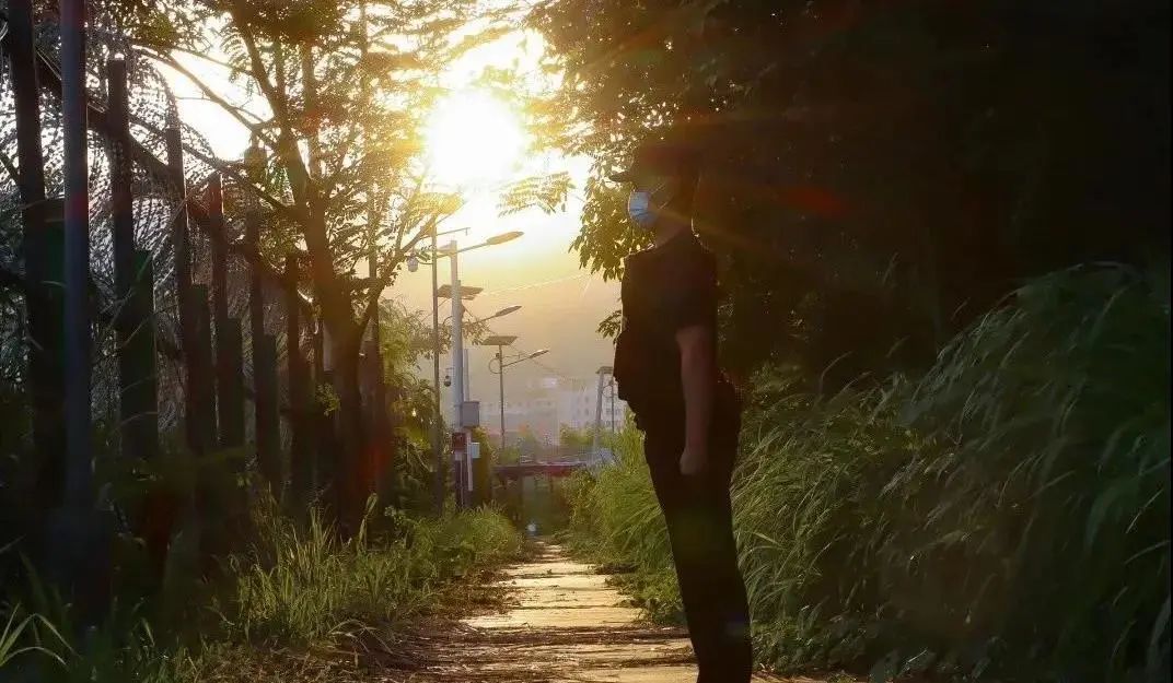 云南政法(微信)