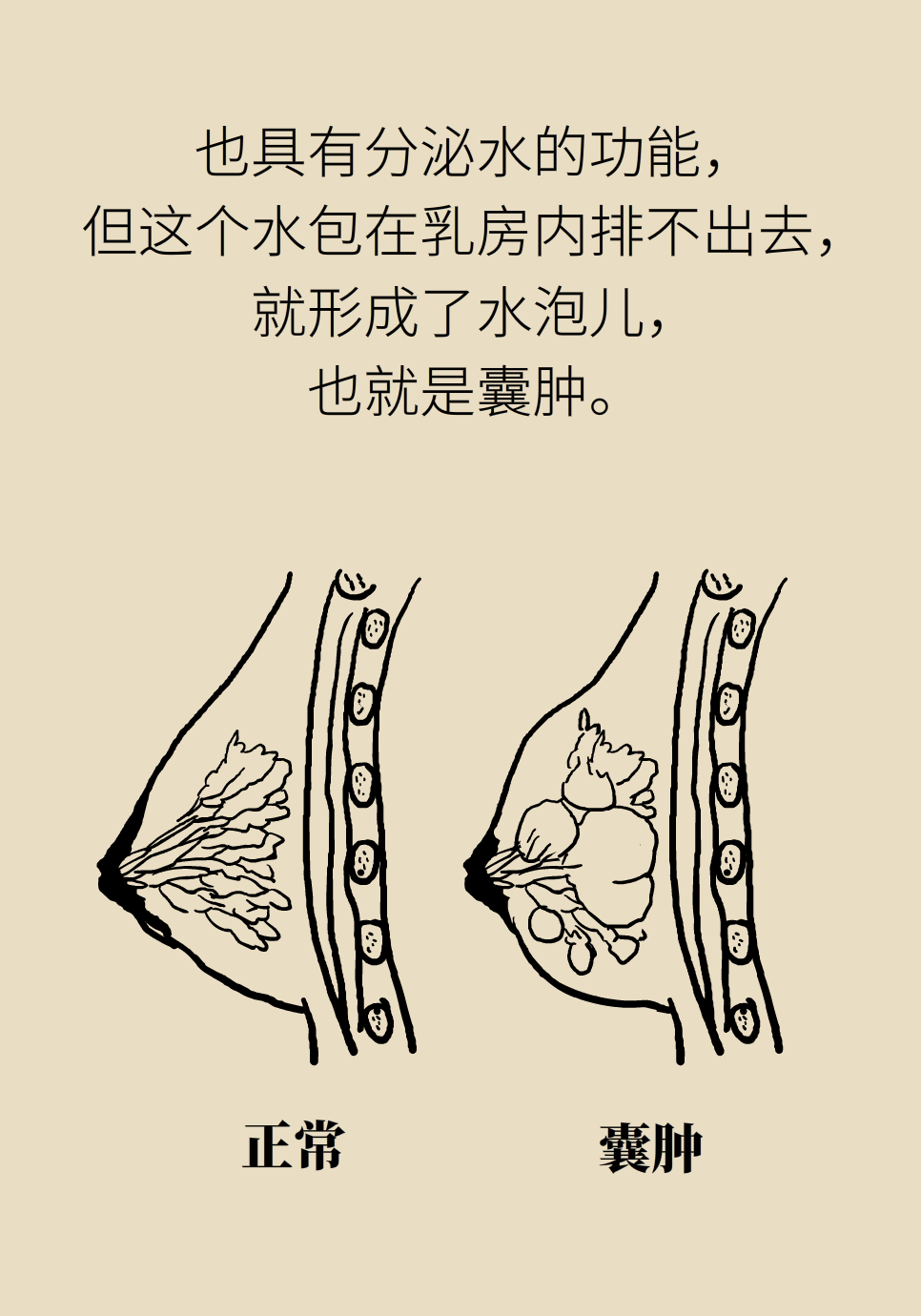 科普中国