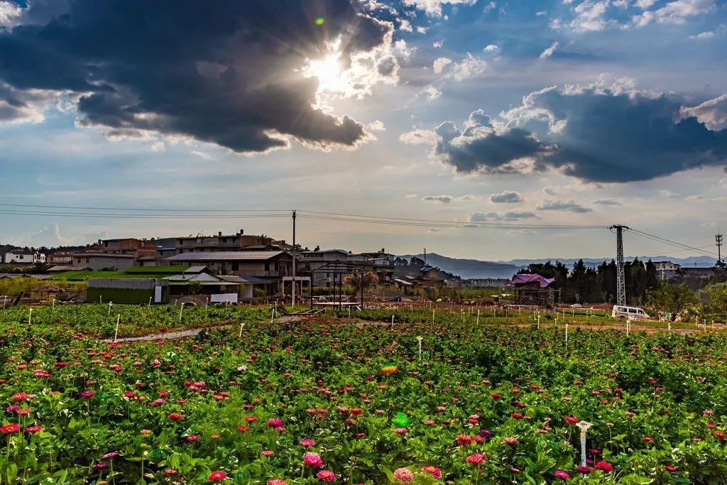 玉溪发布(微信)