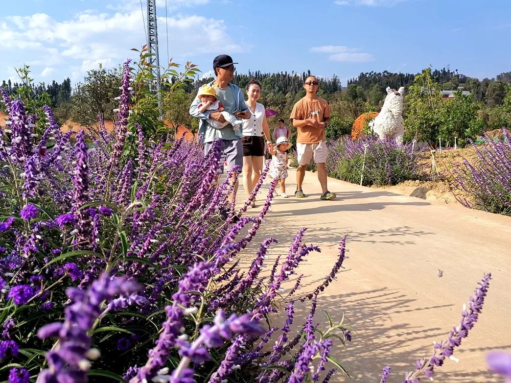 玉溪发布(微信)