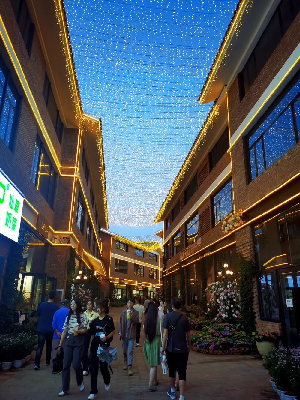 玉溪发布(微信)