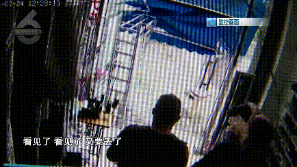 春城晚报(微信)