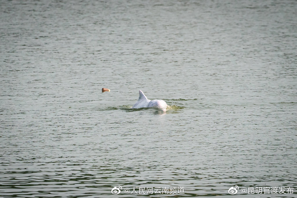 “昆明官渡发布”微博