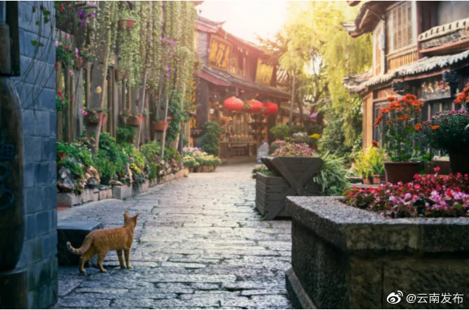 云南环境空气质量预报