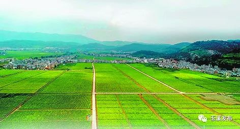 玉溪发布(微信)