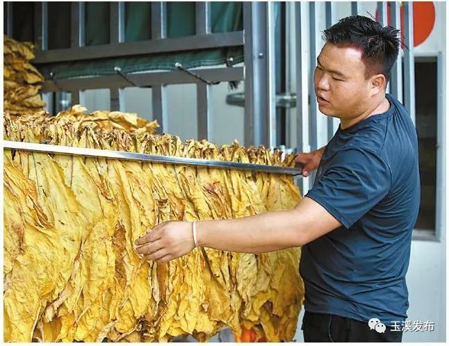 玉溪发布(微信)