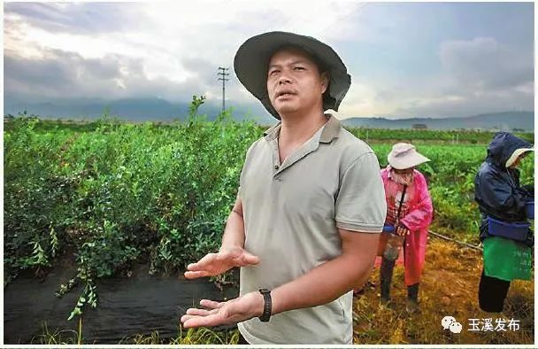 玉溪发布(微信)