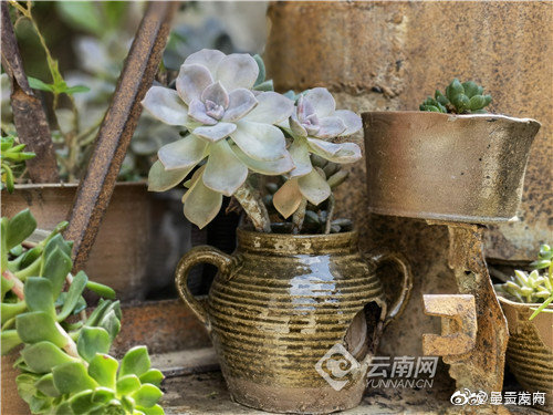 “呈贡发布”微博