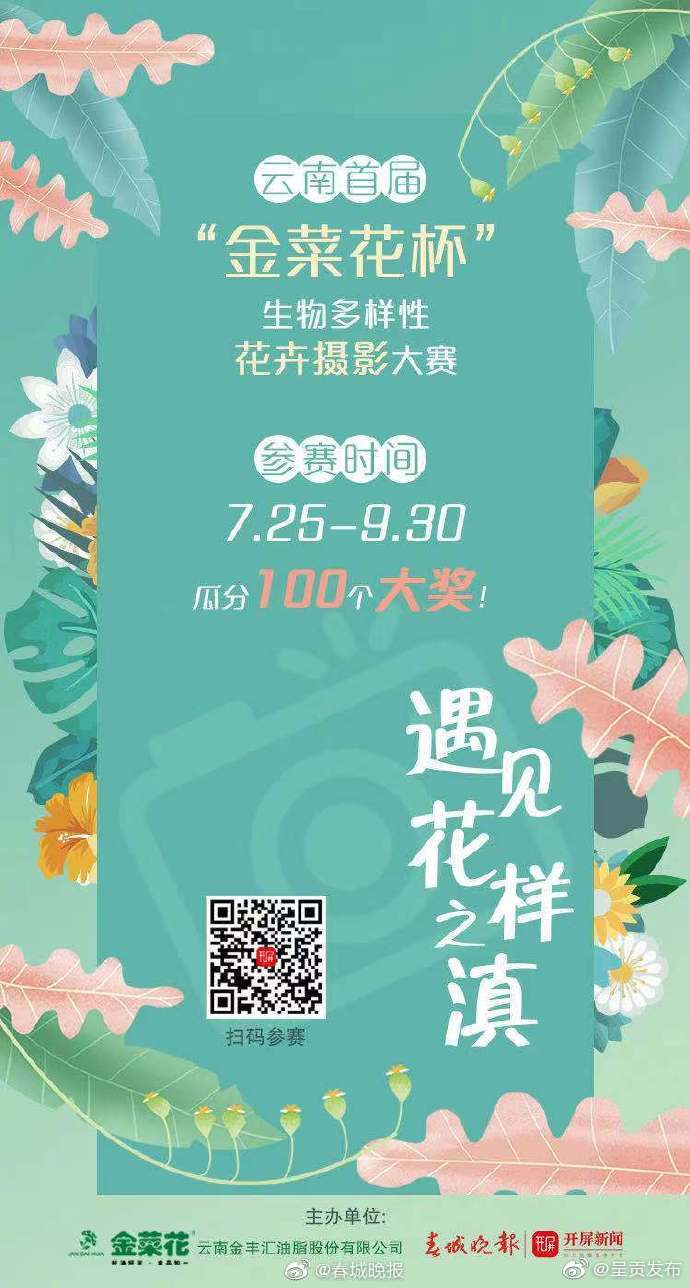 “呈贡发布”微博