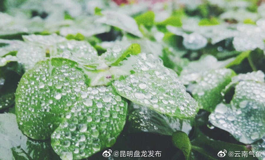 云南省未来24小时天气预报