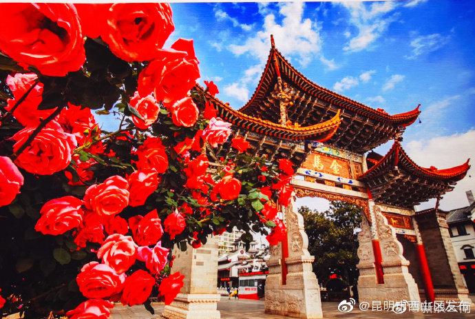 “昆明市西山区发布”微博