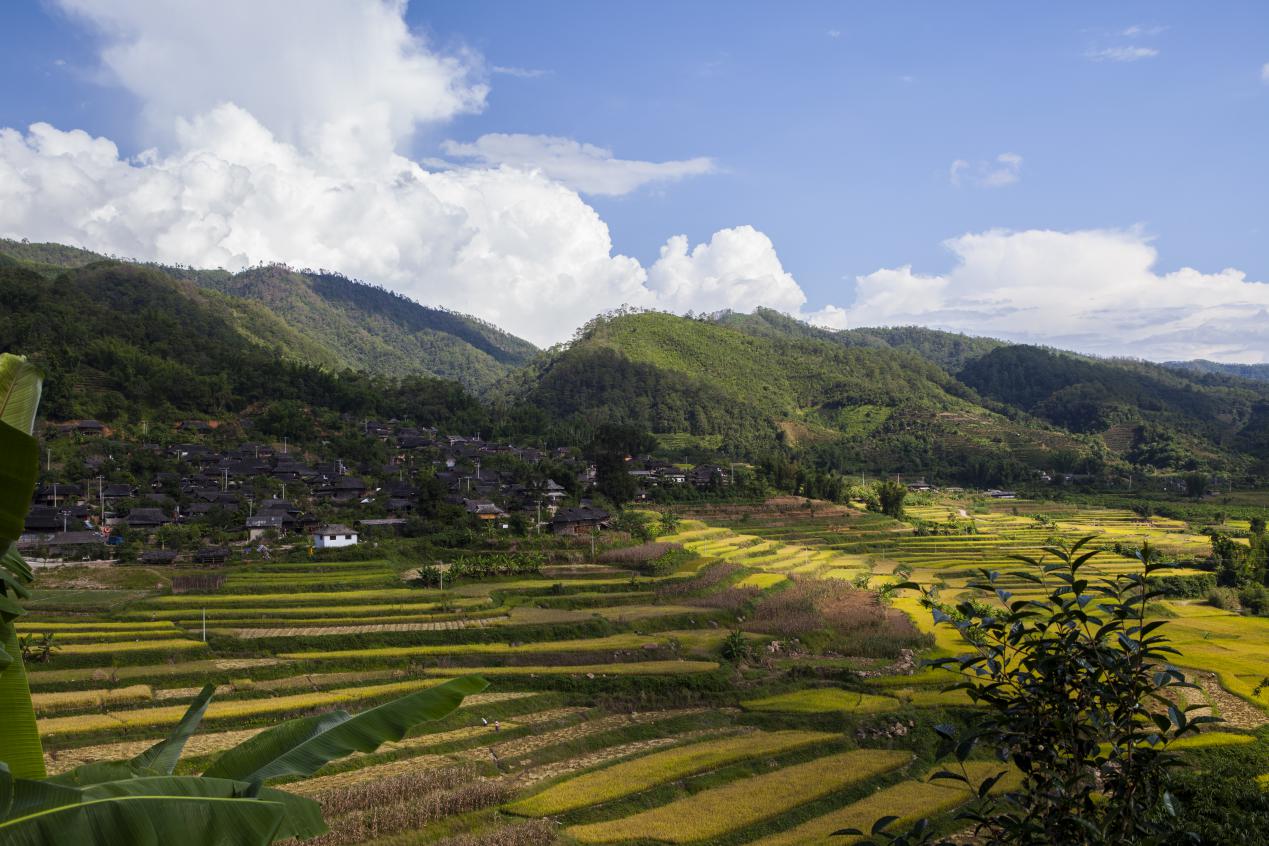 云南省文化和旅游厅