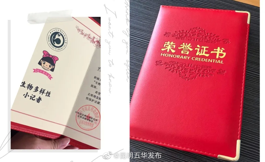 “昆明五华发布”微博