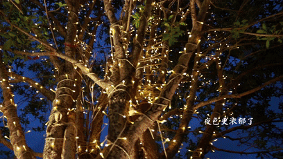 “昆明盘龙发布”微博