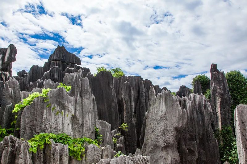 昆明发布(微信)