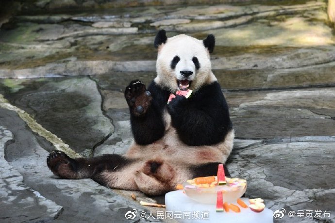 “呈贡发布”微博