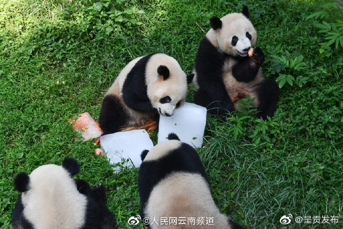 “呈贡发布”微博