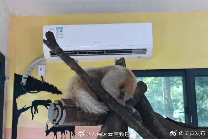 “呈贡发布”微博