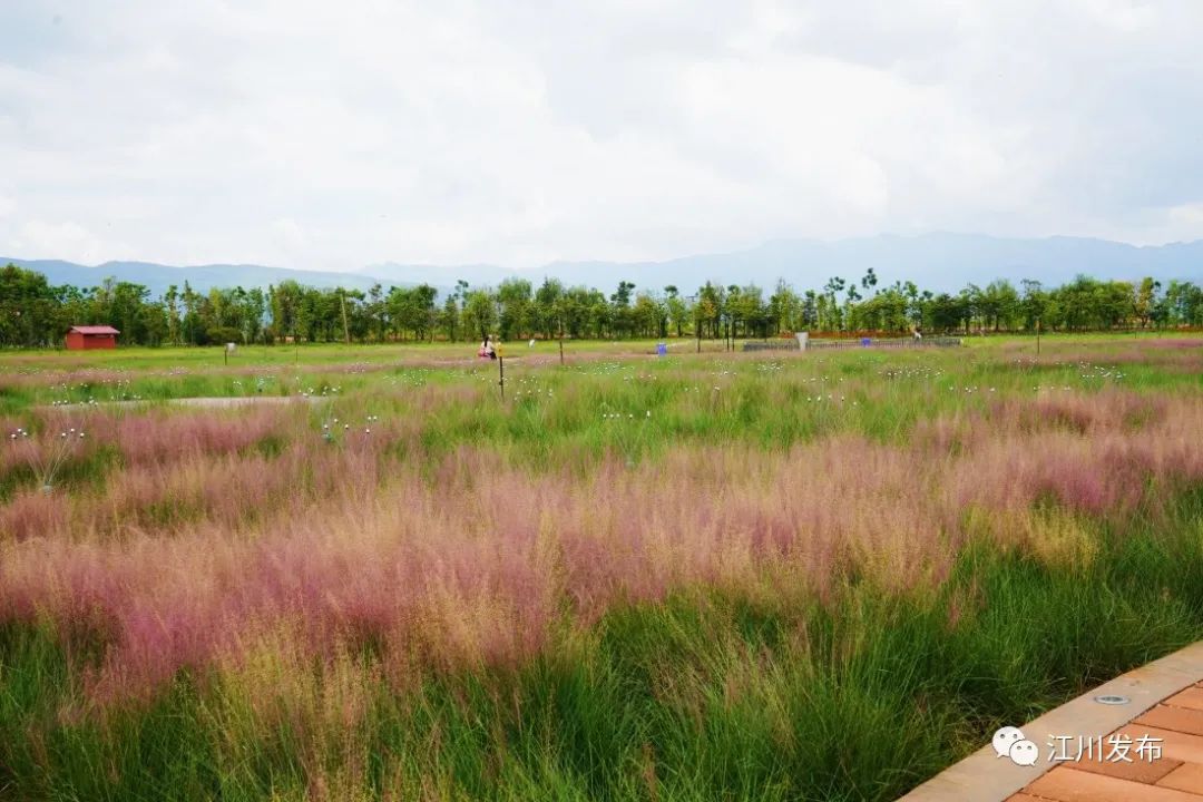 云南省文化和旅游厅