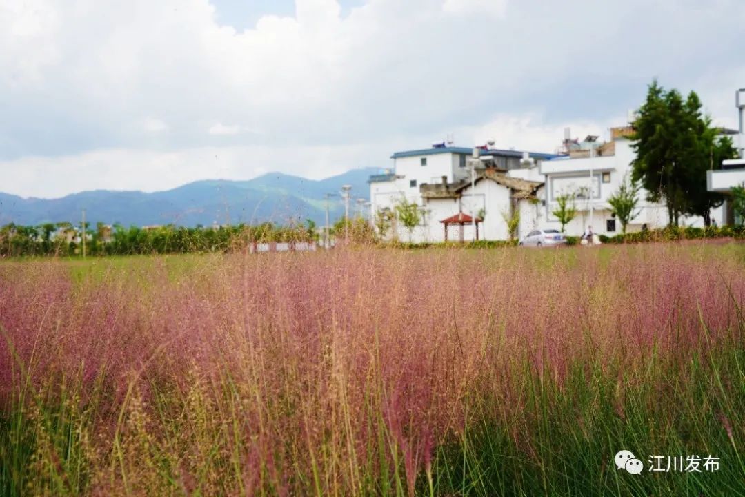 云南省文化和旅游厅