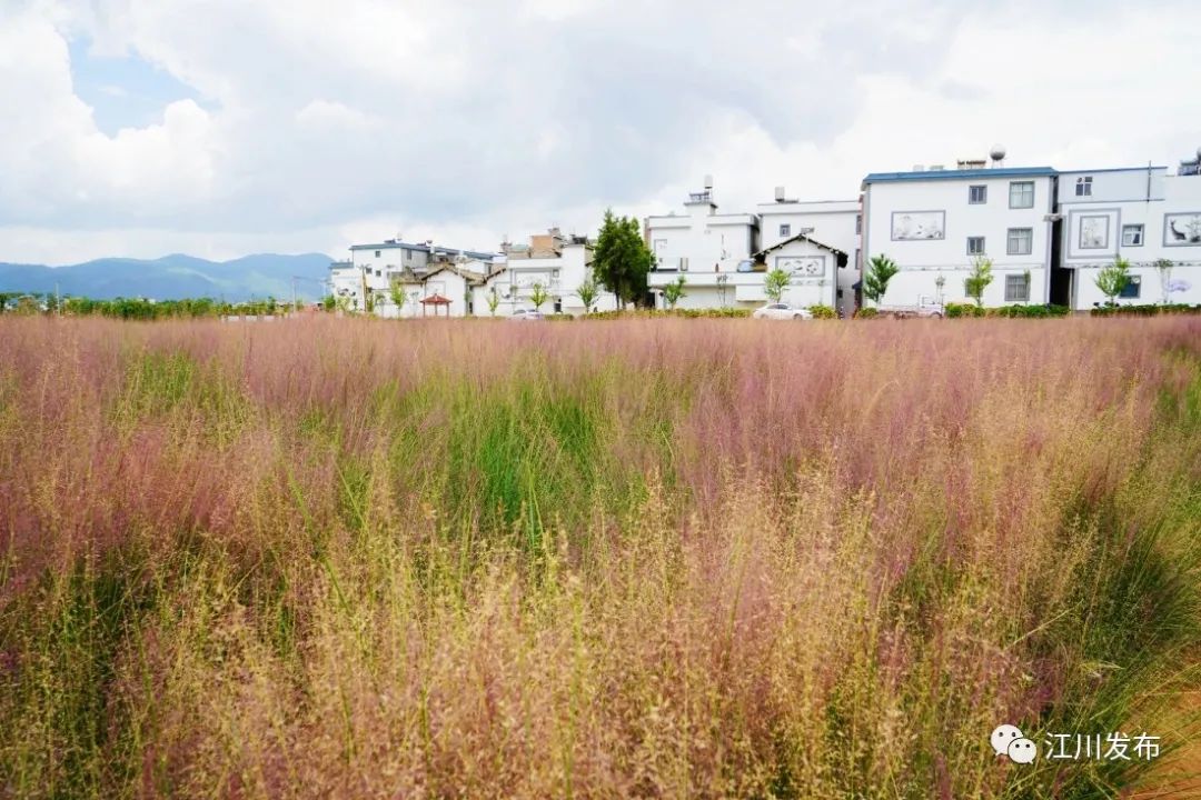 云南省文化和旅游厅