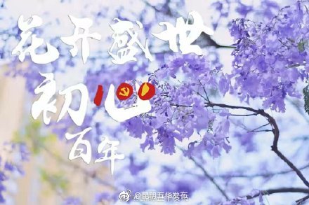 五华区2021年蓝花楹网络文化节获奖名单出炉