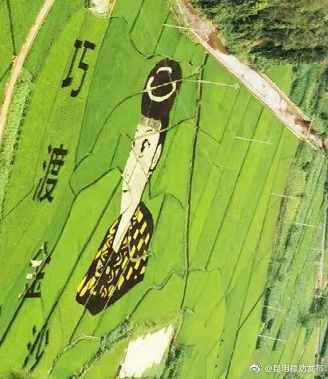 “昆明禄劝发布”微博