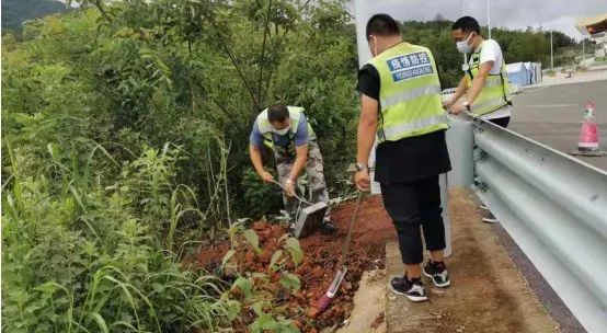 德宏团结报(微信)