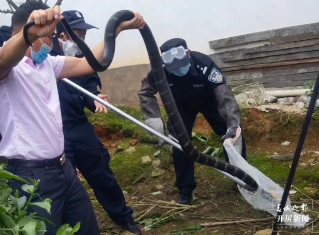 春城晚报(微信)