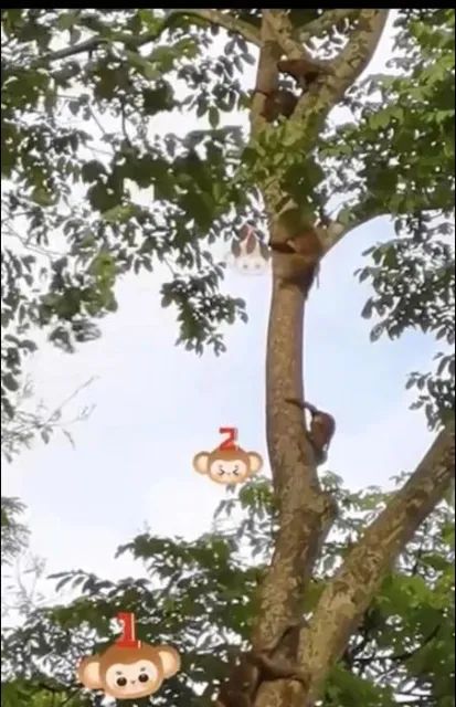 春城晚报(微信)