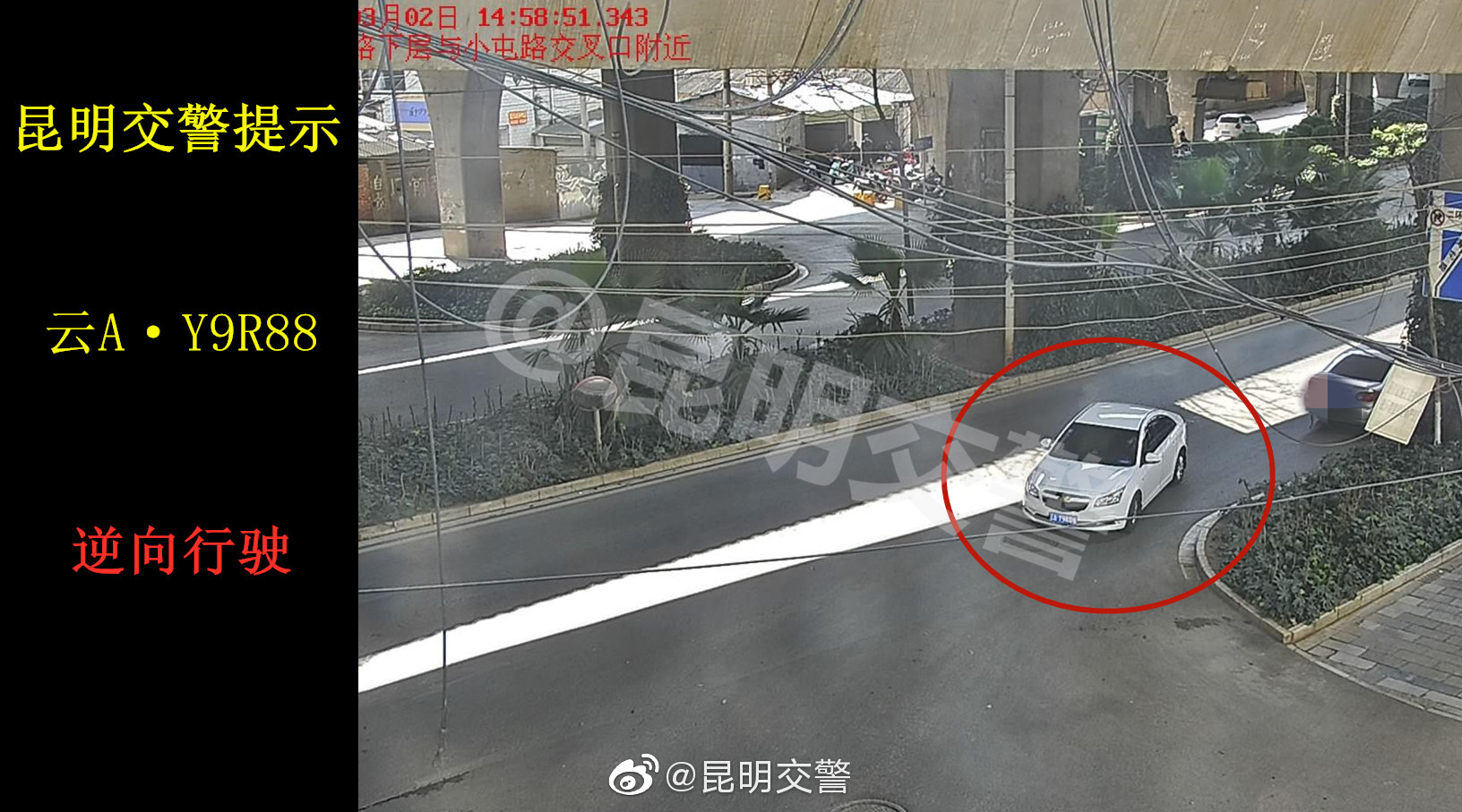 昆明交警微博