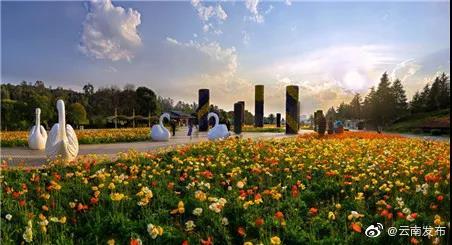 “云南发布”微博