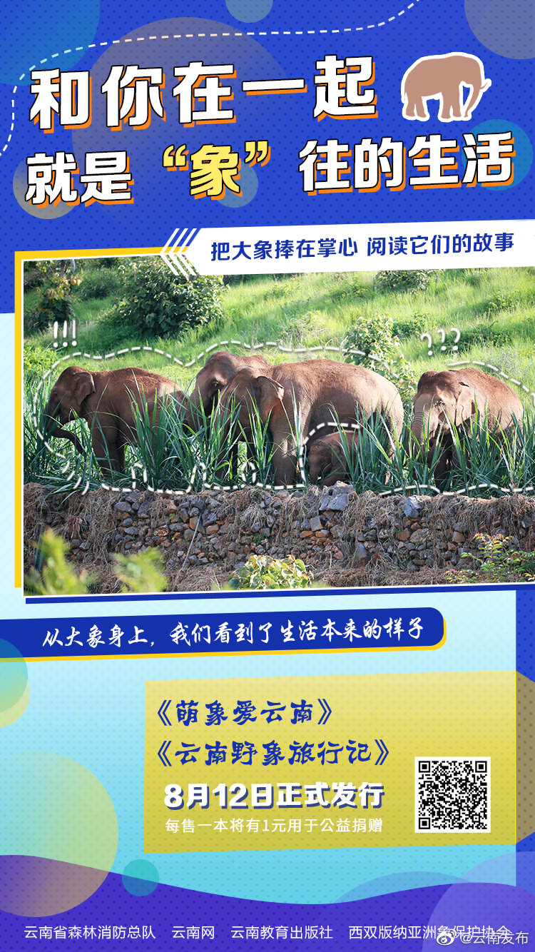 和你在一起！就是“象”往的生活