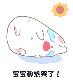 掌上春城(微信)