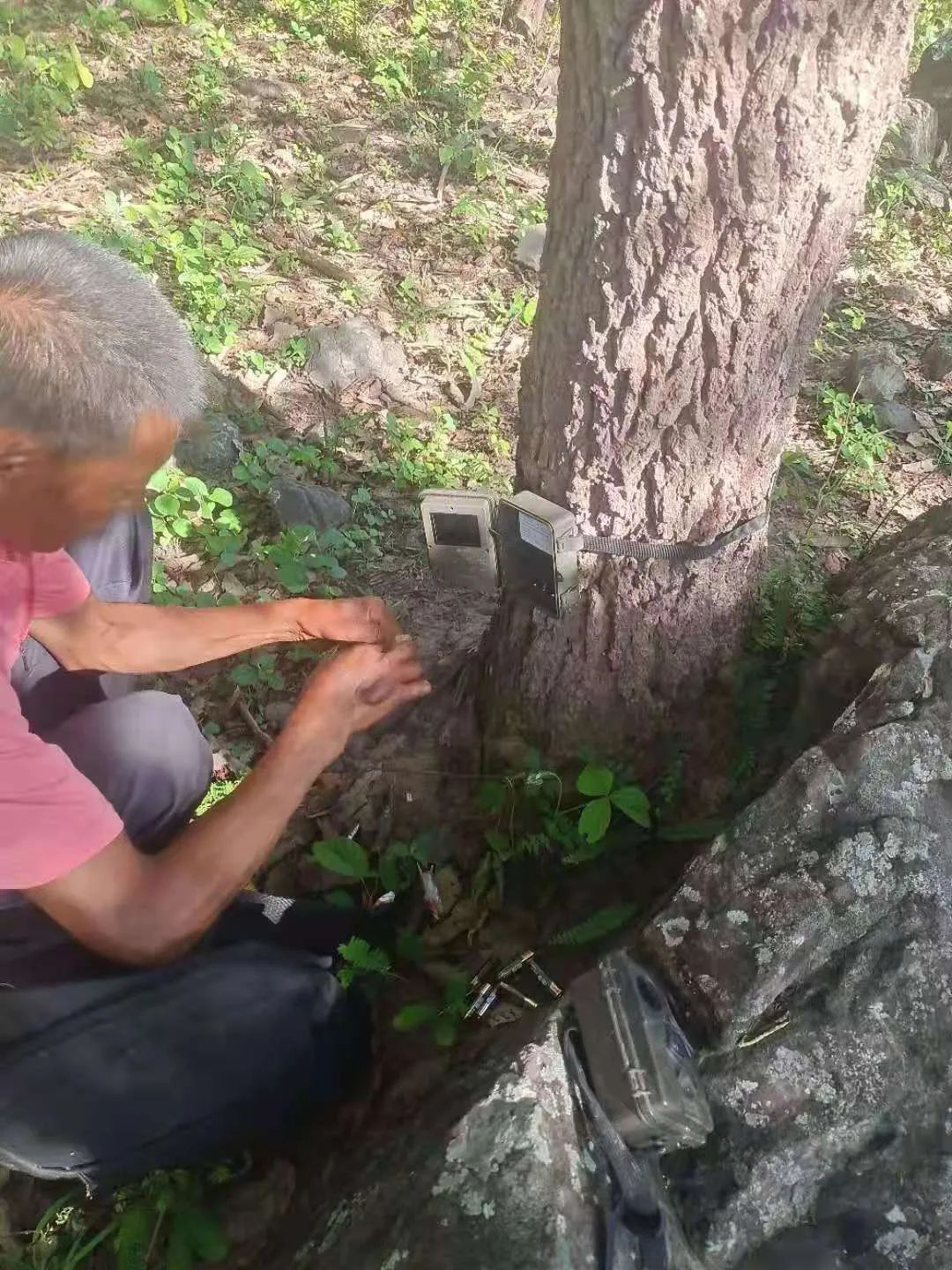 云南法制报(微信)