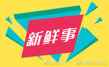 新昆楚高速公路预计年底建成