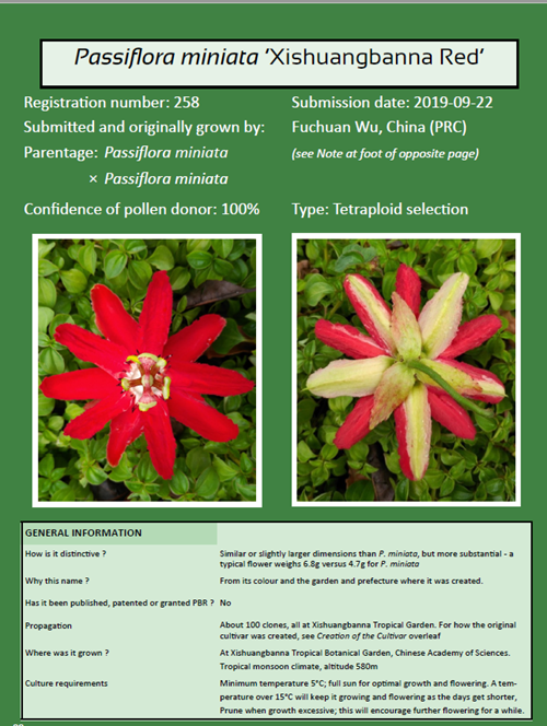 我国首个西番莲品种获得国际植物新品种登录认证