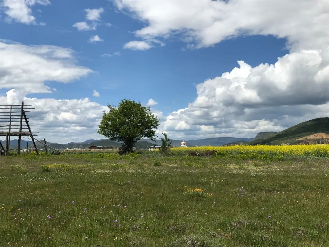 云南省人民政府网