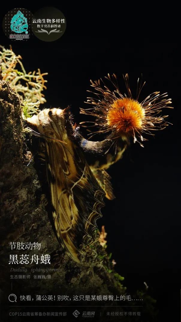 云南省人民政府网