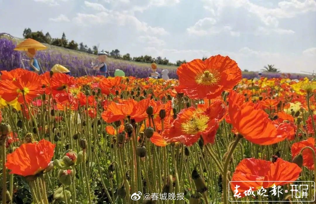 注意！昆明多个景区场馆实行预约限流