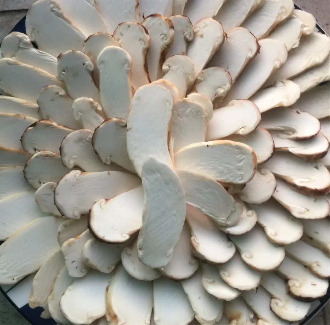 春城晚报(微信)