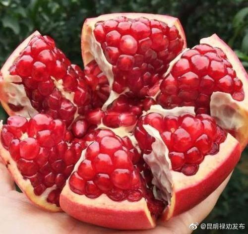 “昆明禄劝发布”微博