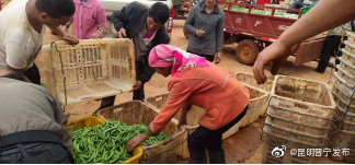 “昆明晋宁发布”微博