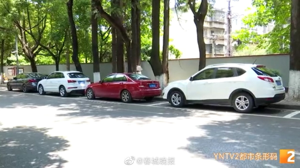 已正式试行！昆明道路临时停车15分钟内免费！