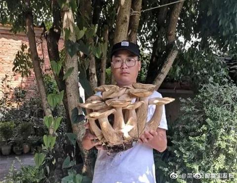 “嵩明发布”微博